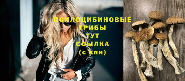 спайс Кулебаки